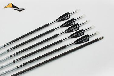 风精灵射准碳箭